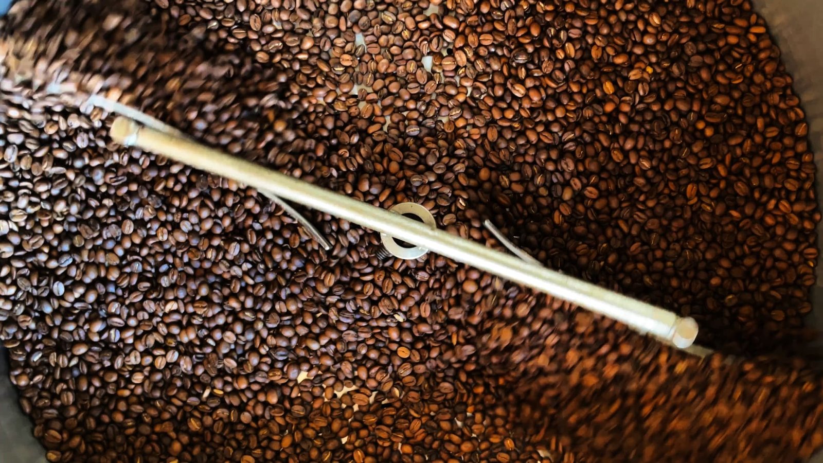 procesos del cafe: natural, lavado y honey