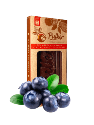 barra de chocolate al 70% PREMIUM frutos secos Biodiverso Café Chocolate y Conservación barra de chocolate al 70% PREMIUM frutos secos Biodiverso Café Chocolate y Conservación