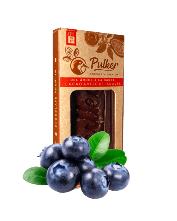 barra de chocolate al 70% PREMIUM frutos secos Biodiverso Café Chocolate y Conservación barra de chocolate al 70% PREMIUM frutos secos Biodiverso Café Chocolate y Conservación