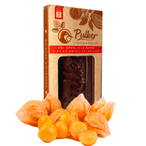 barra de chocolate al 70% PREMIUM frutos secos Biodiverso Café Chocolate y Conservación