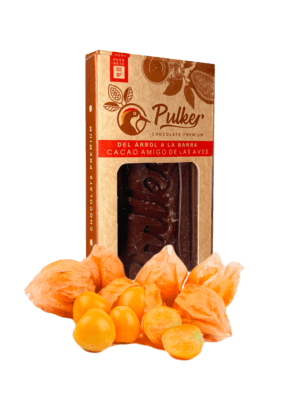 barra de chocolate al 70% PREMIUM frutos secos Biodiverso Café Chocolate y Conservación barra de chocolate al 70% PREMIUM frutos secos Biodiverso Café Chocolate y Conservación