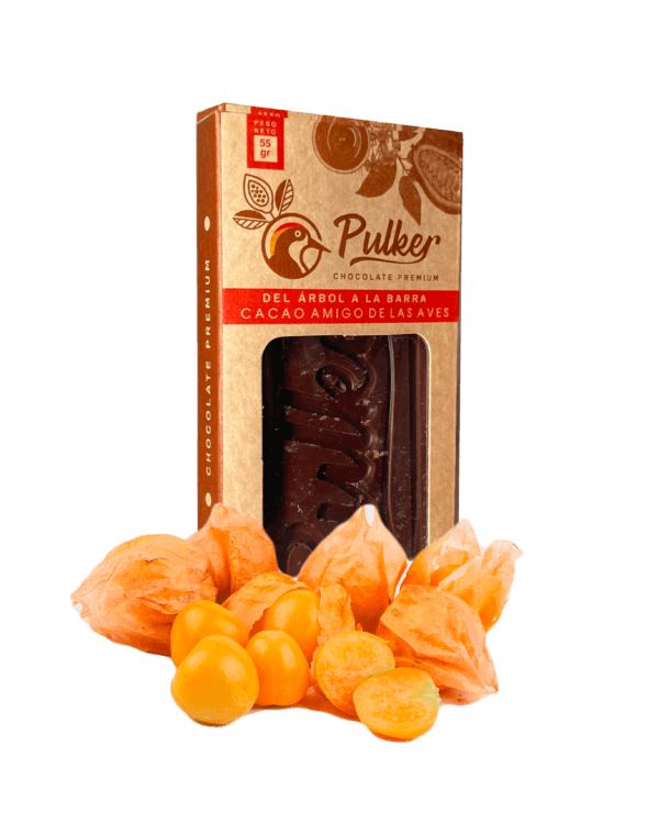 barra de chocolate al 70% PREMIUM frutos secos Biodiverso Café Chocolate y Conservación barra de chocolate al 70% PREMIUM frutos secos Biodiverso Café Chocolate y Conservación