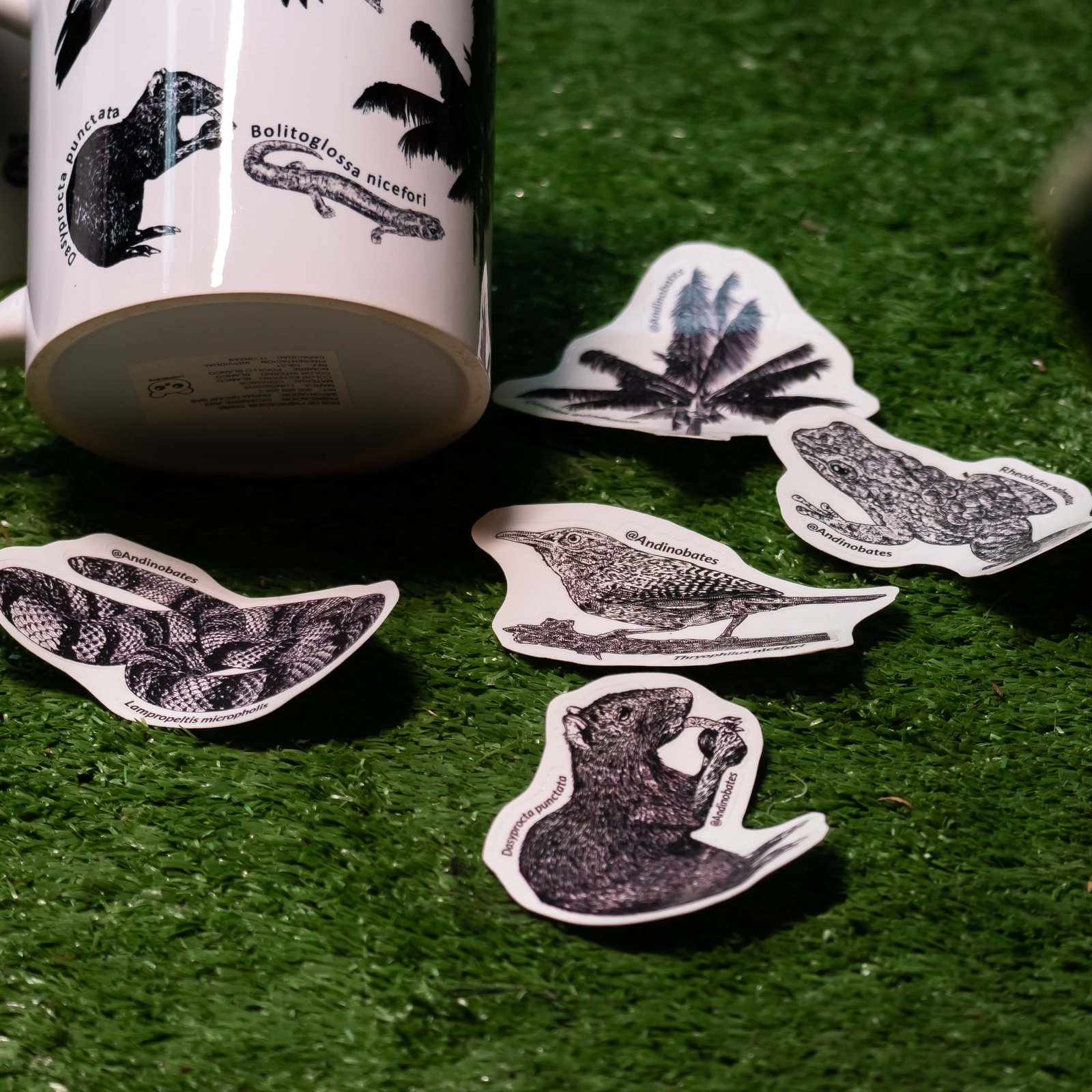 Café Natural La Montaña Mágica