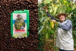 procesos del cafe: natural, lavado y honey