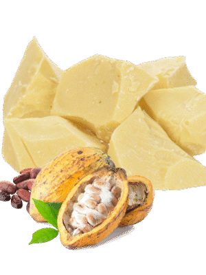 Manteca de cacao para uso cosmético Manteca de cacao para uso cosmético