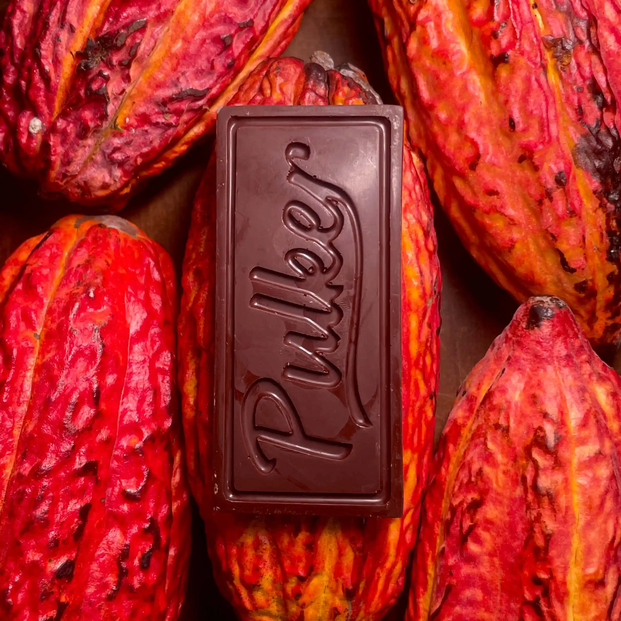 Barra de Chocolate Pulker 100%. Cacao