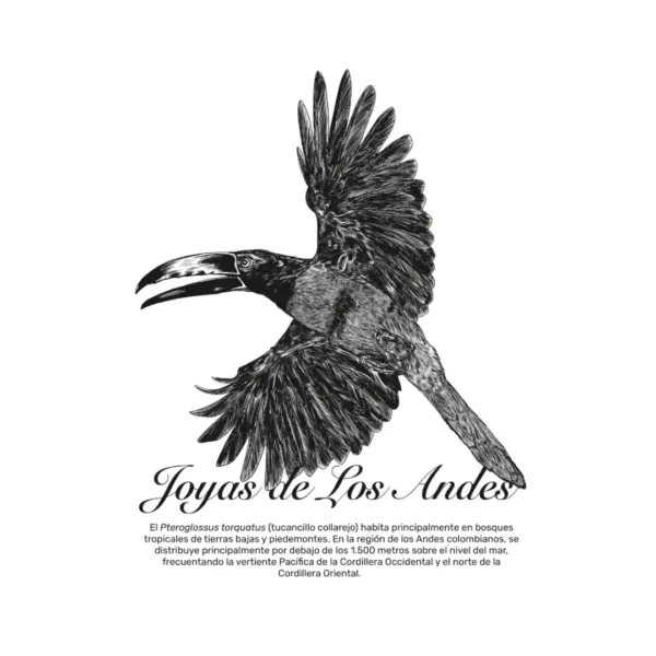 colección Joyas de Los Andes